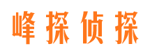 金口河市侦探公司